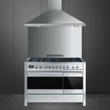 Ⓜ️🔵🔵🔵👌 Smeg A3-81 - Cucina da arredamento, serie Opera, in acciaio inox, 120x60 cm. Classe A e B