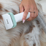 Ⓜ️🔵🔵🔵 H.Koenig PAW400 - TOELETTATORE PER CANI e GATTI, aspiratore e Kit di toelettatura e tosatura per animali domestici, 5 ACCESSORI