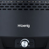 Ⓜ️🔵🔵🔵 H.Koenig RIO440 - Barbecue con ventilazione elettrica, da picnic o da tavolo, corpo in metallo e figlia in acciaio inox, pratica custodia in dotazione